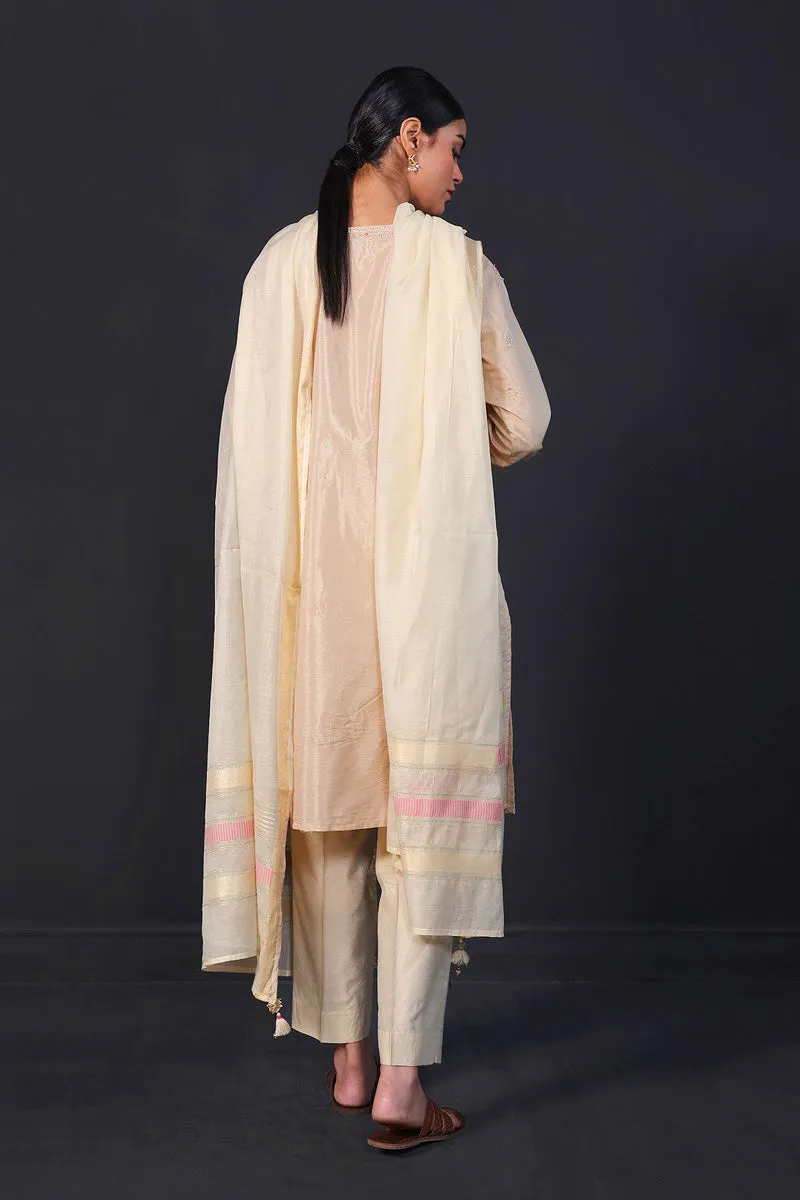 Desi Dreams Embroidered 1-Piece Kurta