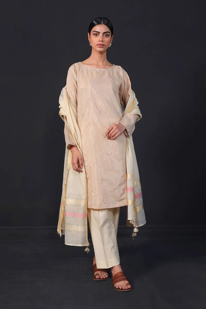 Desi Dreams Embroidered 1-Piece Kurta