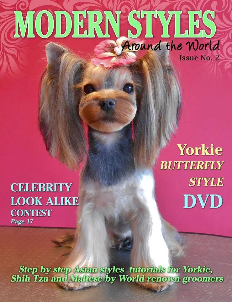 Modern Styles Around The World Magazine & DVD- by Olga Zabelinskaya