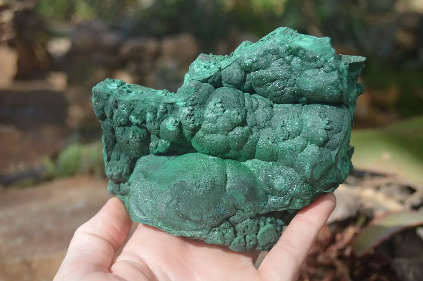 Natural Botryoidal Crystalline Malachite Specimens  x 2 From Kolwezi, Congo