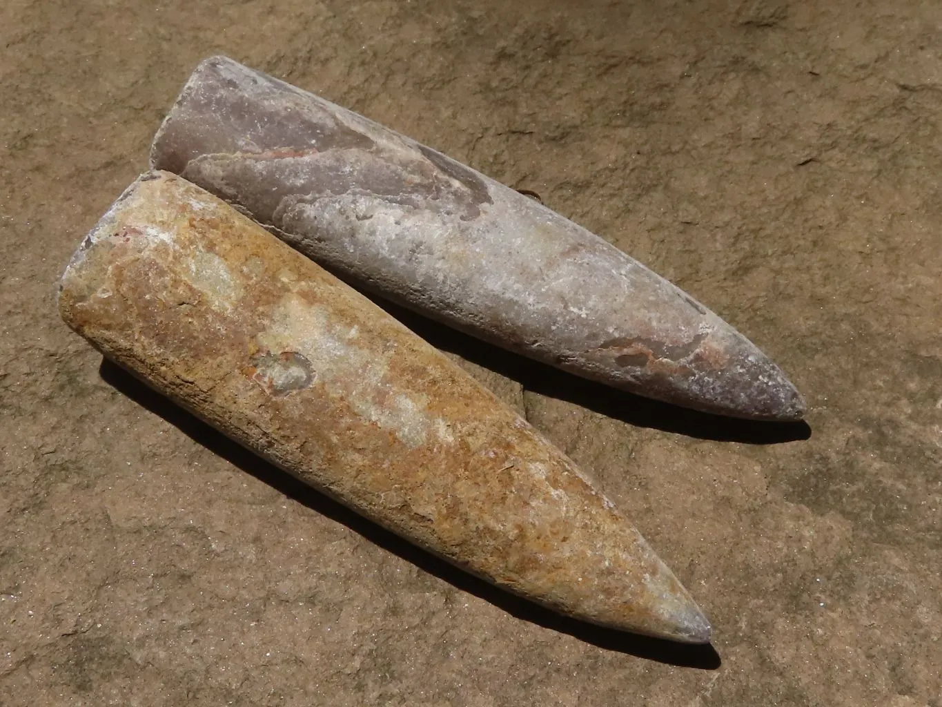 Natural Large Belemnite Fossil Specimens  x 47 From Maintirano, Madagascar