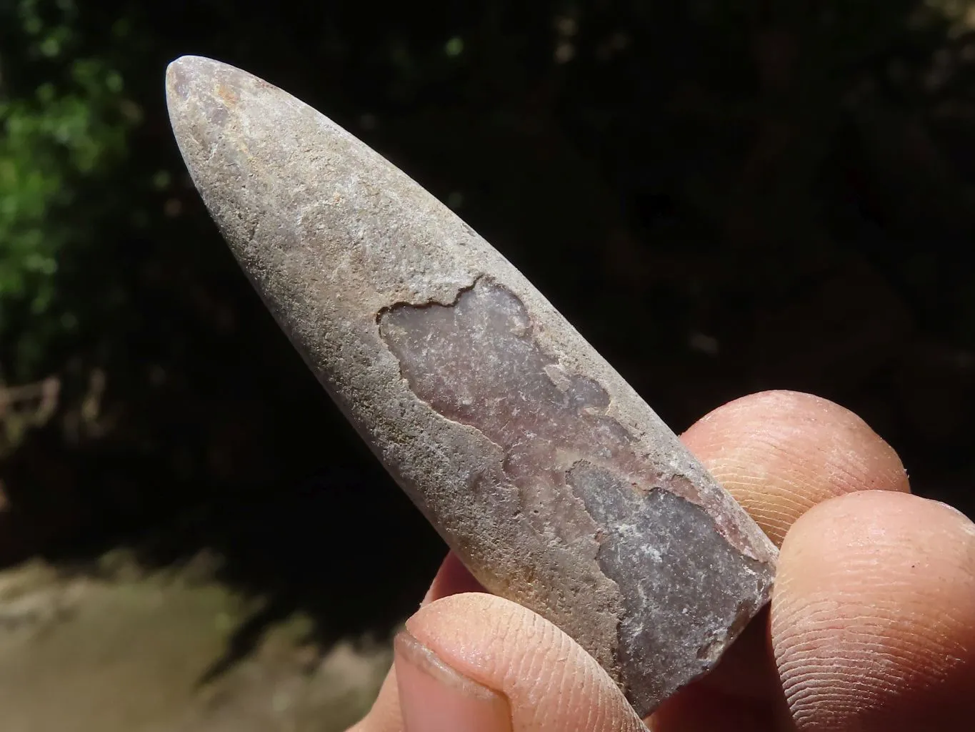 Natural Large Belemnite Fossil Specimens  x 47 From Maintirano, Madagascar