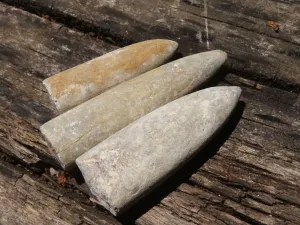 Natural Large Belemnite Fossil Specimens  x 47 From Maintirano, Madagascar