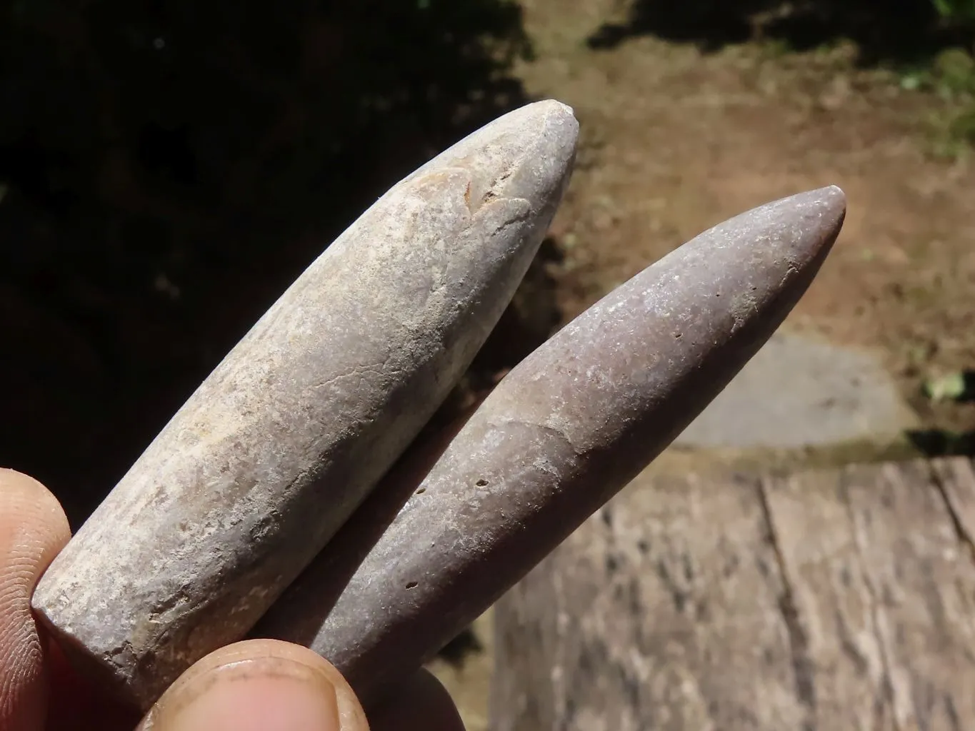 Natural Large Belemnite Fossil Specimens  x 47 From Maintirano, Madagascar