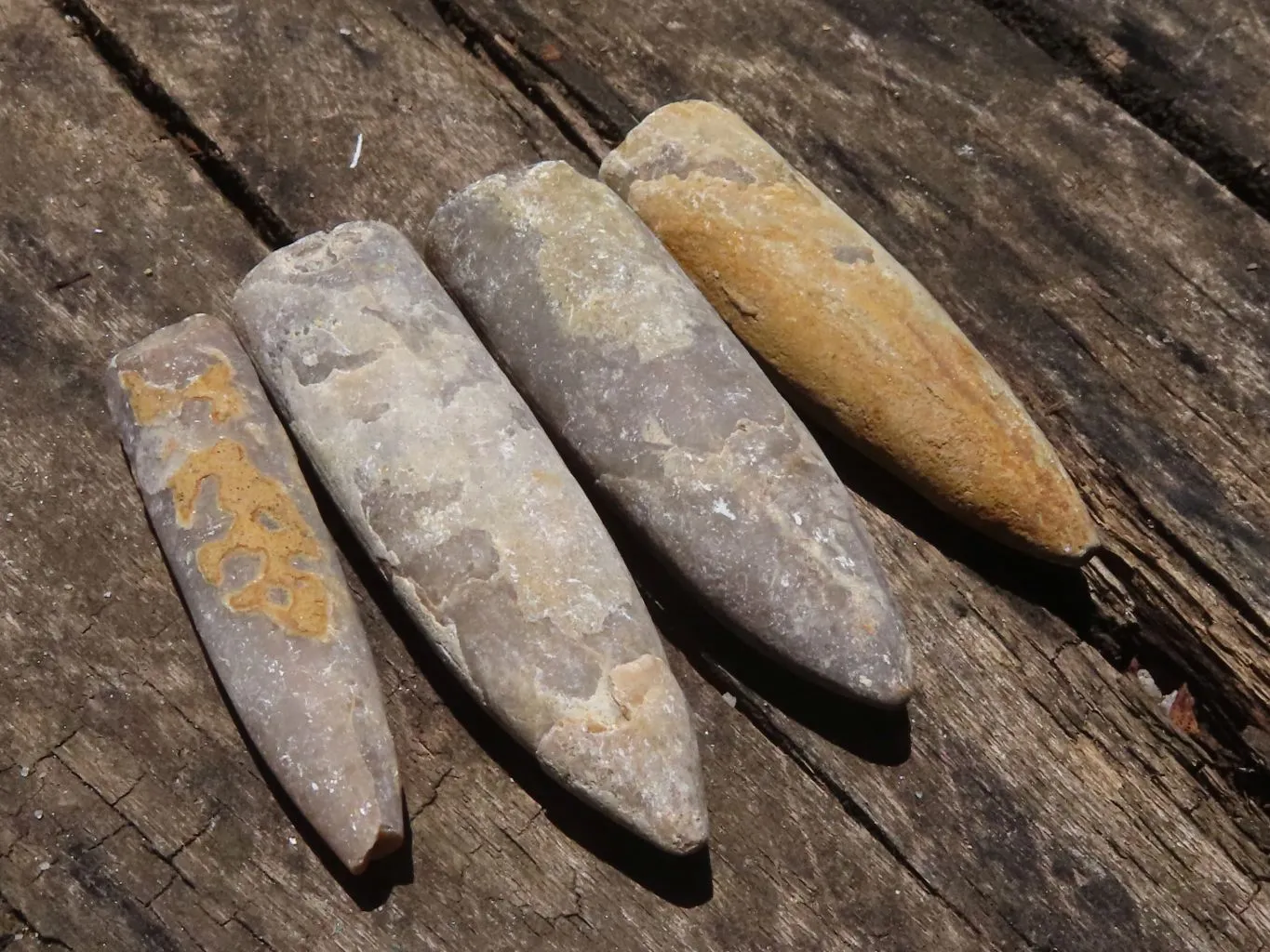 Natural Large Belemnite Fossil Specimens  x 47 From Maintirano, Madagascar