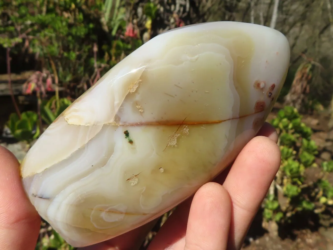 Polished Agate Standing Free Forms x 4 From Madagascar