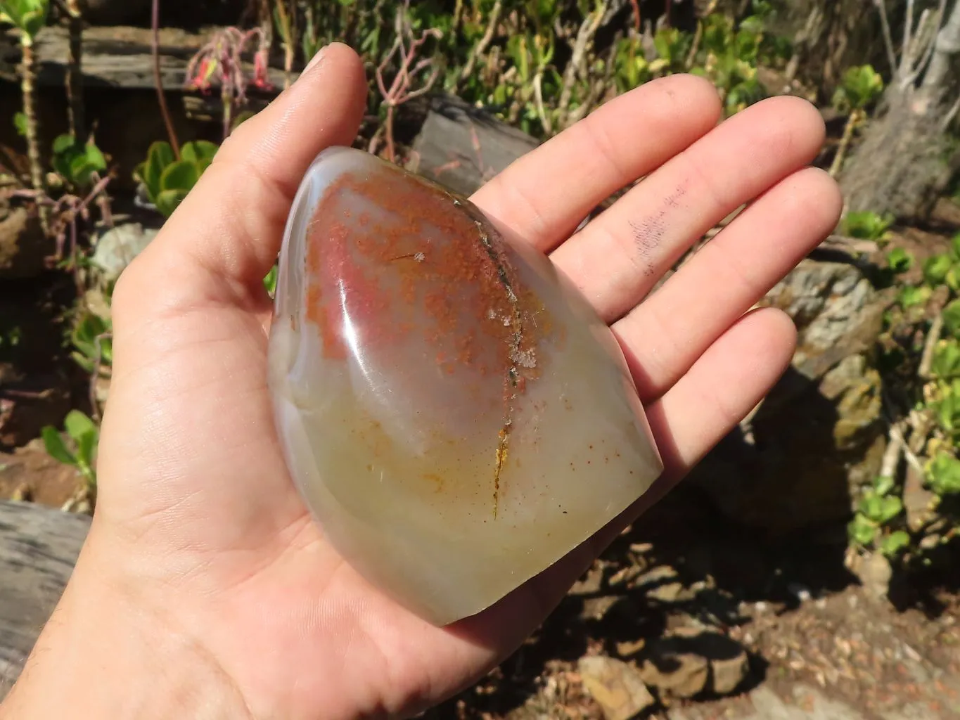 Polished Agate Standing Free Forms x 4 From Madagascar