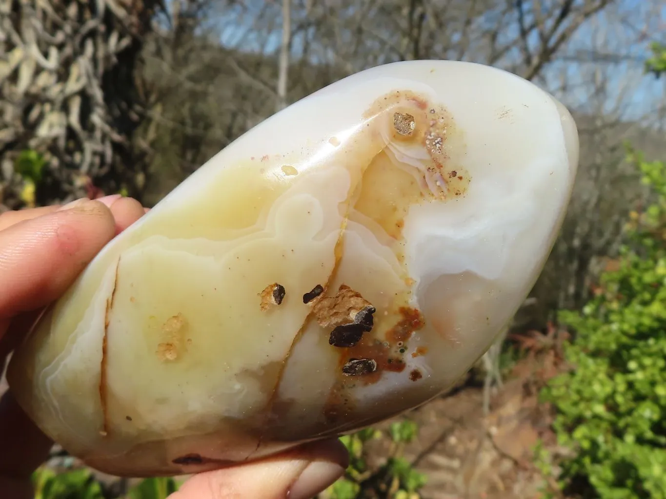 Polished Agate Standing Free Forms x 4 From Madagascar