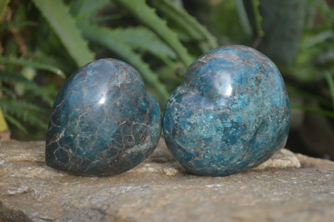 Polished Blue Apatite Gemstone Hearts  x 3 From Madagascar