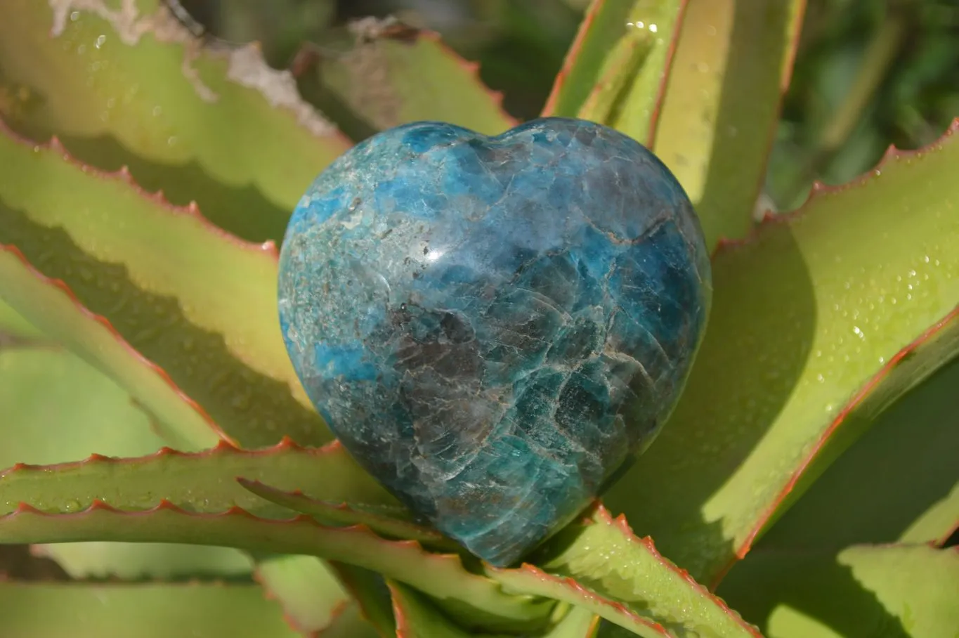 Polished Blue Apatite Gemstone Hearts  x 3 From Madagascar