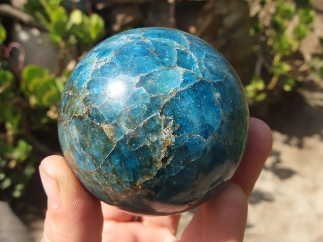 Polished Blue Apatite Spheres  x 4 From Madagascar