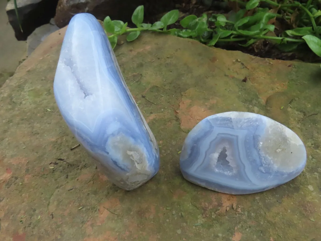 Polished Blue Lace Agate Standing Free Forms  x 2 From Nsanje, Malawi