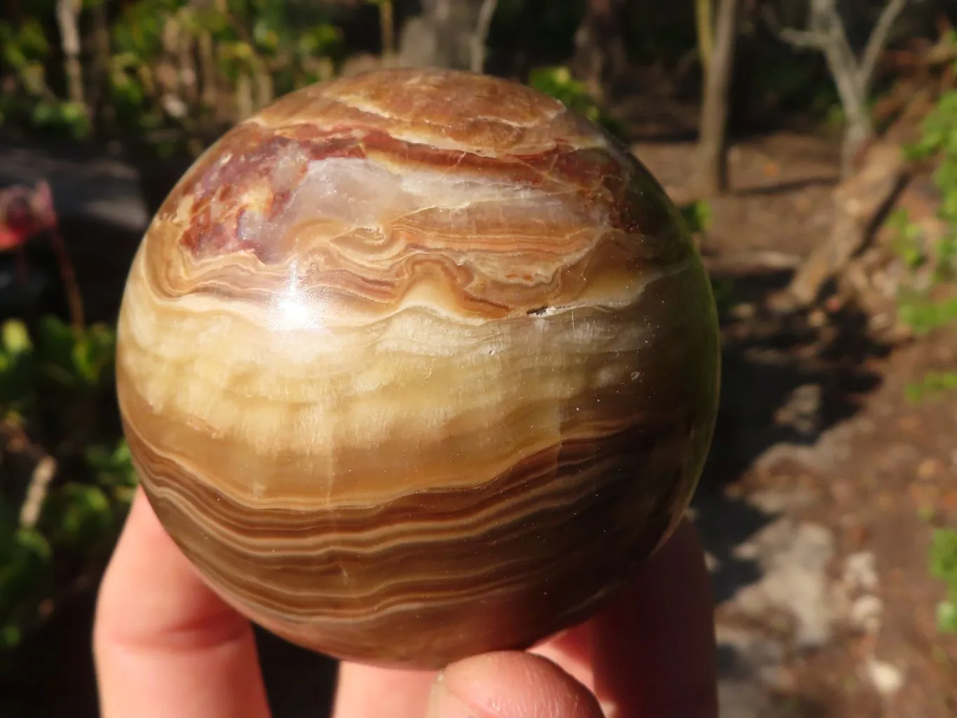 Polished  Chocolate Swirl Aragonite Spheres  x 3 From Antsirabe, Madagascar