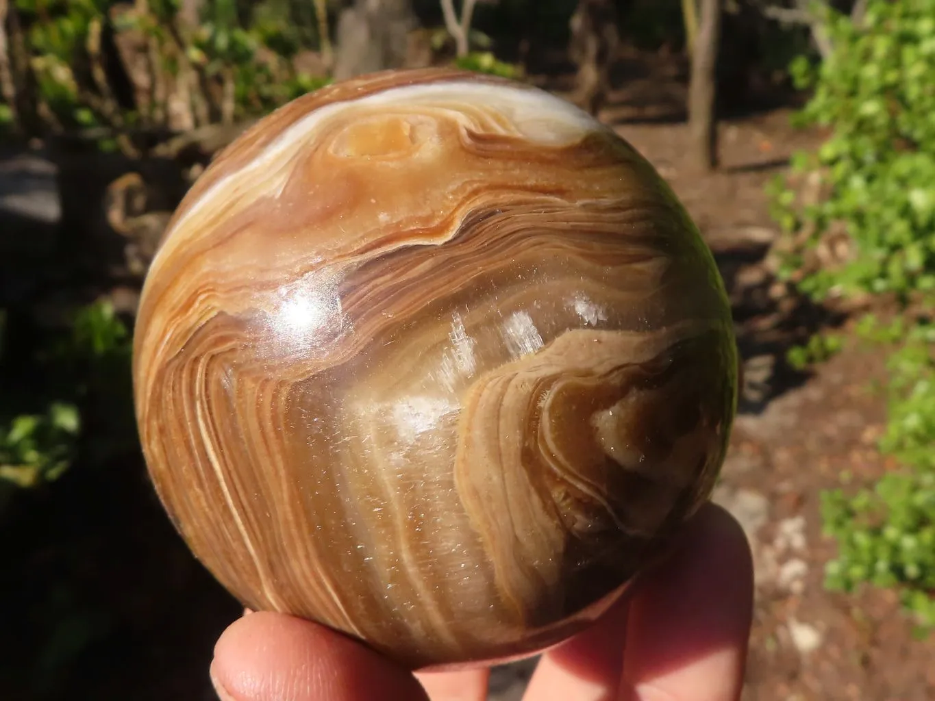 Polished  Chocolate Swirl Aragonite Spheres  x 3 From Antsirabe, Madagascar