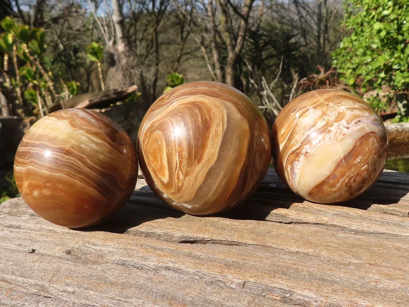 Polished  Chocolate Swirl Aragonite Spheres  x 3 From Antsirabe, Madagascar