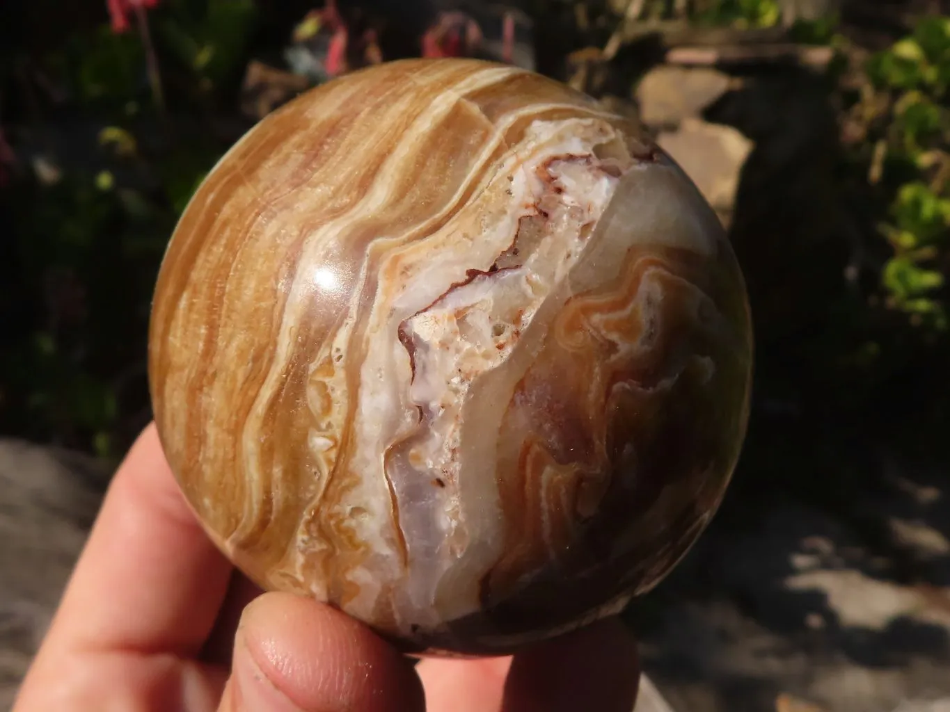 Polished  Chocolate Swirl Aragonite Spheres  x 3 From Antsirabe, Madagascar