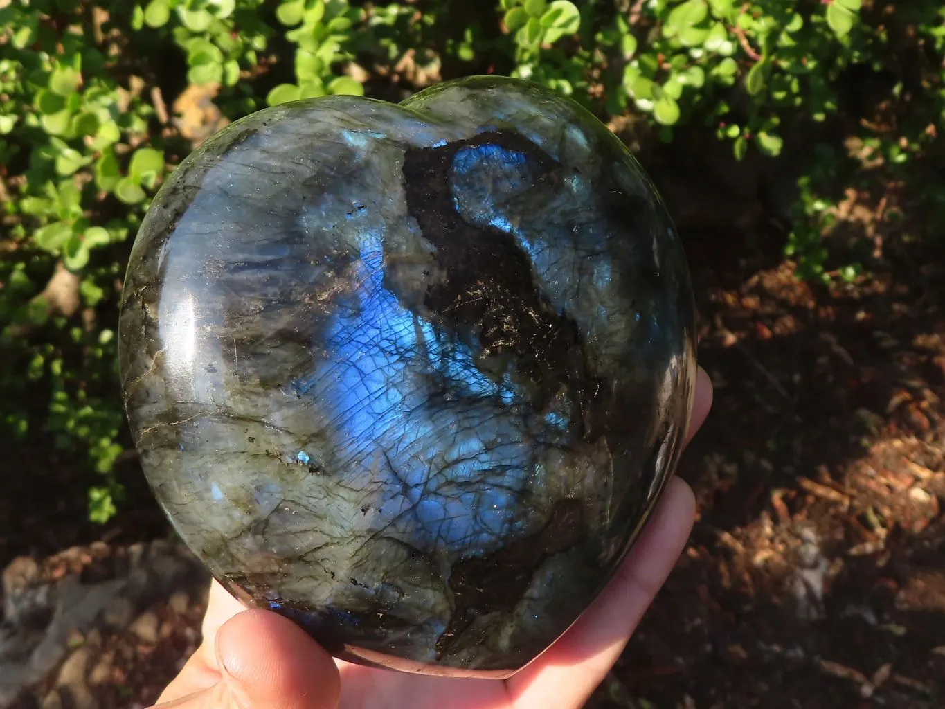 Polished  Large Labradorite Gemstone Heart  x 1 From Tulear, Madagascar