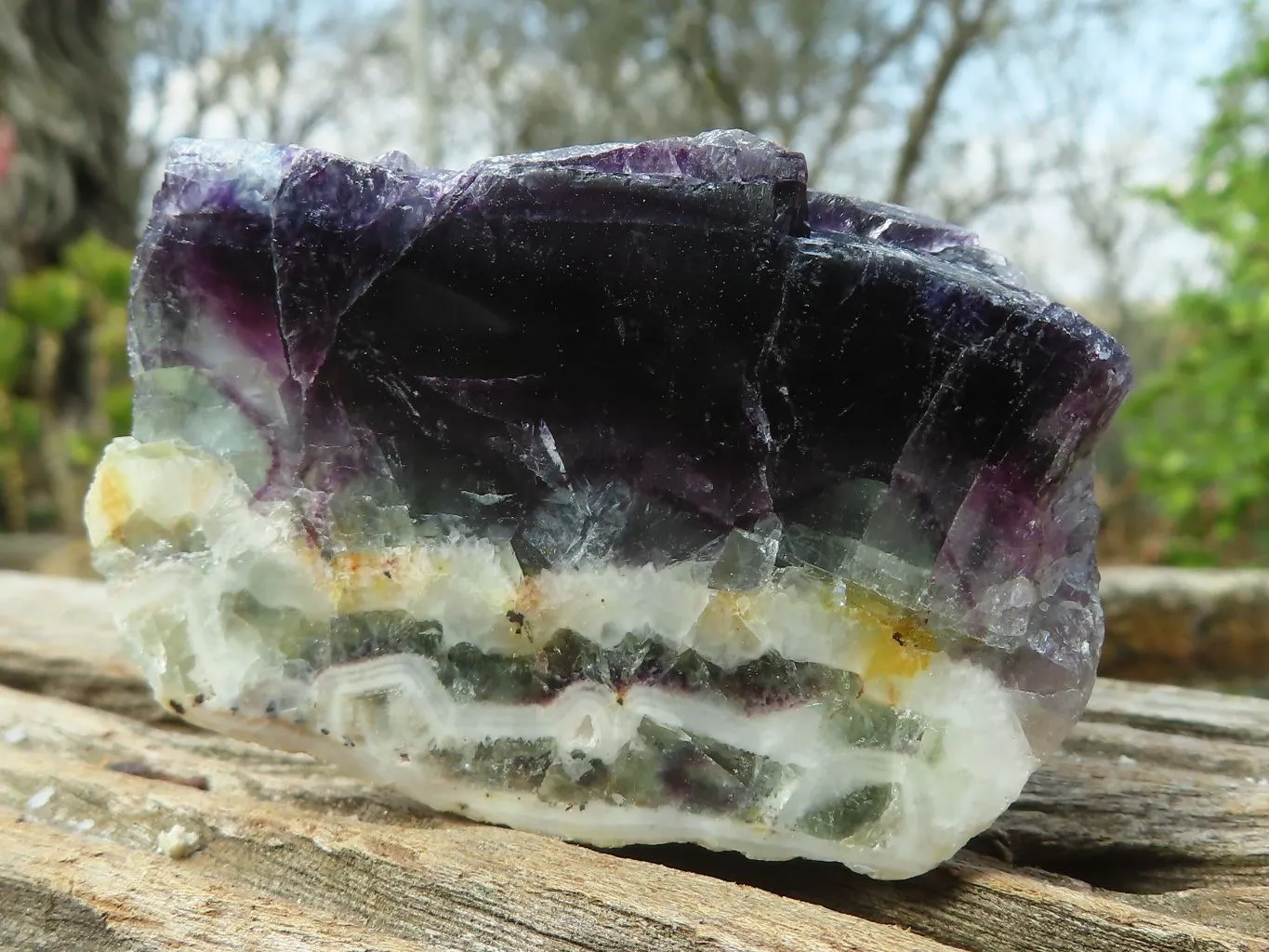 Polished  Watermelon Fluorite Slices  x 12 From Uis, Namibia