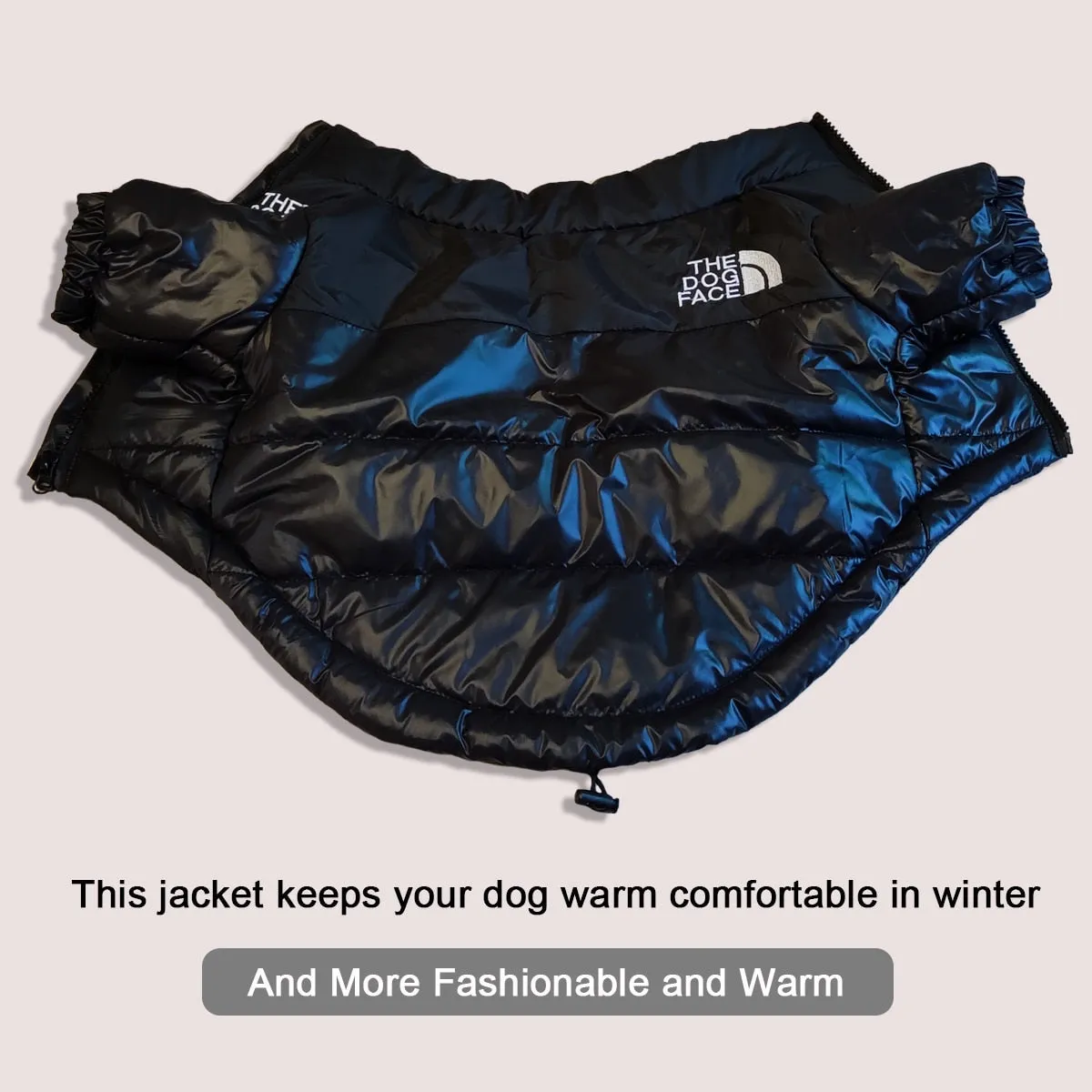 Windproof Jacket for Dogs